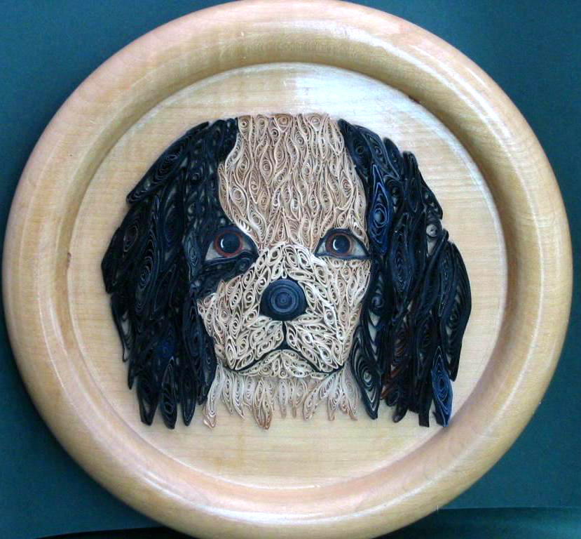 King Charles Spaniel